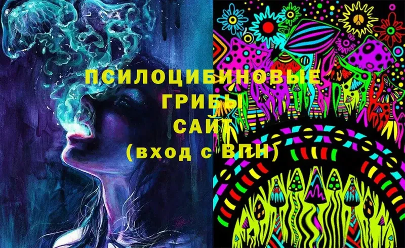 Псилоцибиновые грибы MAGIC MUSHROOMS  Валдай 